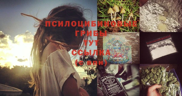 прущие крисы Алексеевка