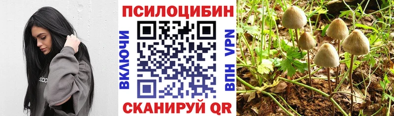 Псилоцибиновые грибы Cubensis Гагарин