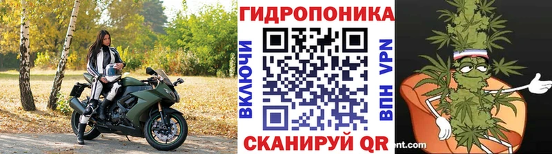 Канабис сатива  наркота  Гагарин 